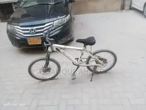 Giant 20-inch Cycle with Disc Brakes and Gears