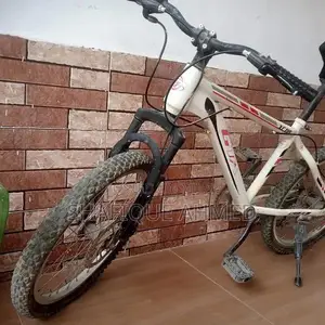 Giant 20-inch Cycle with Disc Brakes and Gears