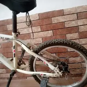 Giant 20-inch Cycle with Disc Brakes and Gears