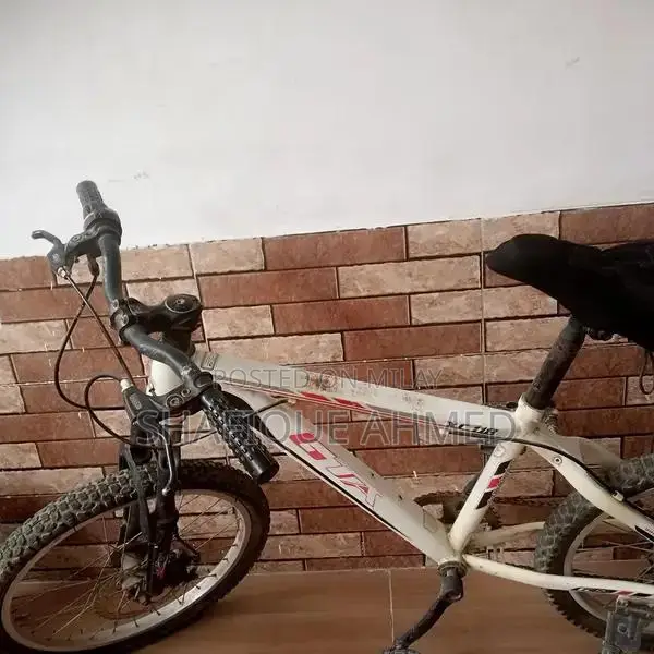 Giant 20-inch Cycle with Disc Brakes and Gears