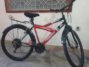 Photo - Phoniec Bicycle - Versatile Urban Cycling Companion