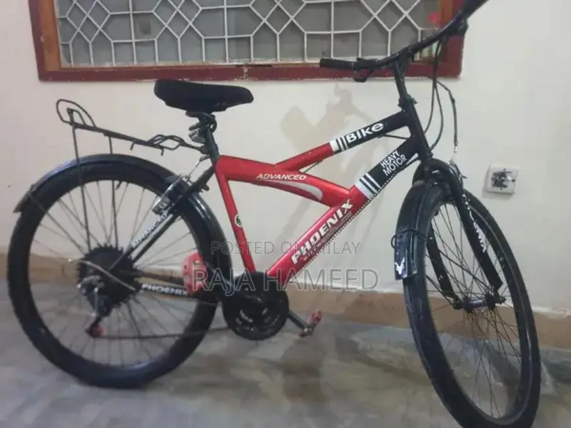 Phoniec Bicycle - Versatile Urban Cycling Companion