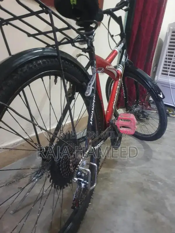 Phoniec Bicycle - Versatile Urban Cycling Companion