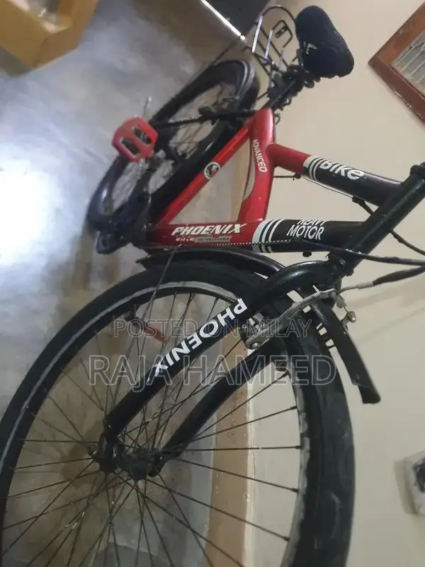 Phoniec Bicycle - Versatile Urban Cycling Companion