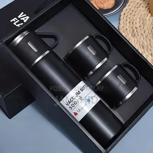 Photo - Hot and Cold Vacuum Flask Set 500