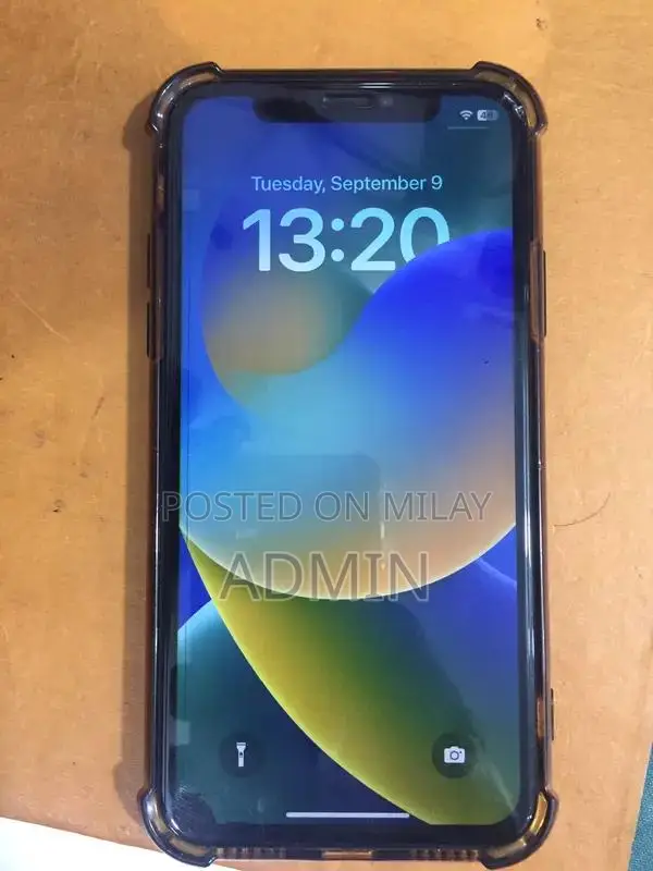 iPhone X 256GB Officially PTA Approved Smartphone