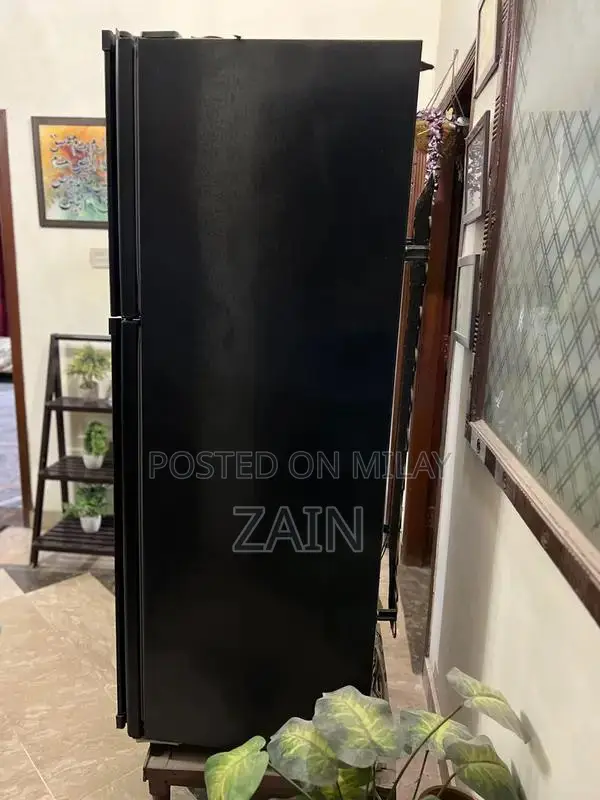 Dawlance Reflection Inverter - High Voltage Efficiency