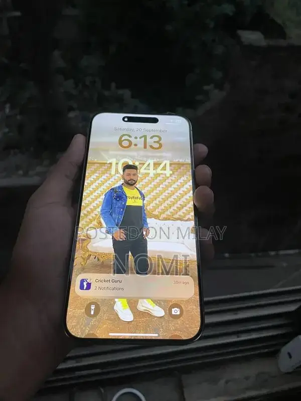 Apple Smartphone 256GB Pro Model with Original Accessories