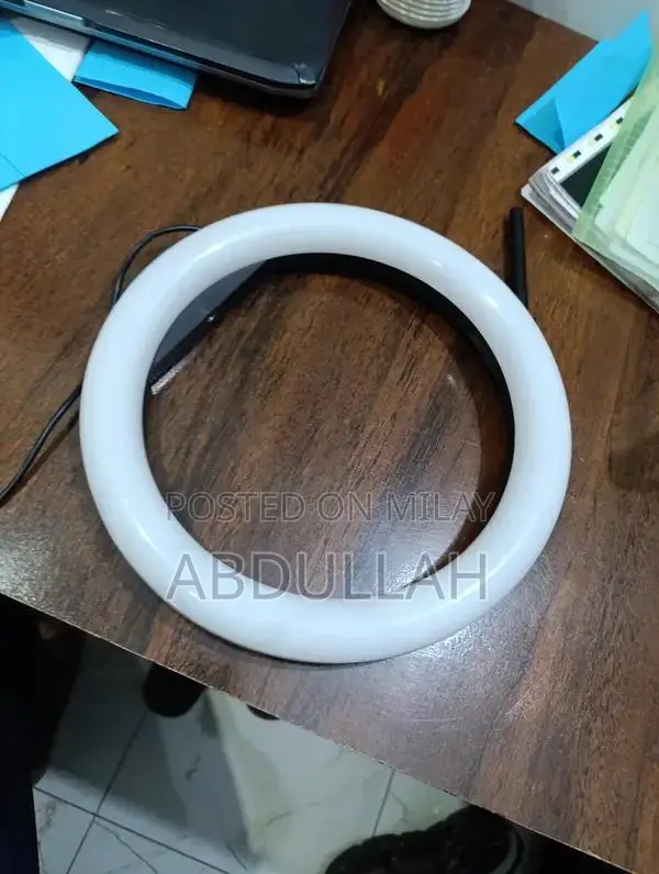 Professional LED Ring Light with Adjustable Stand and Mobile Holder