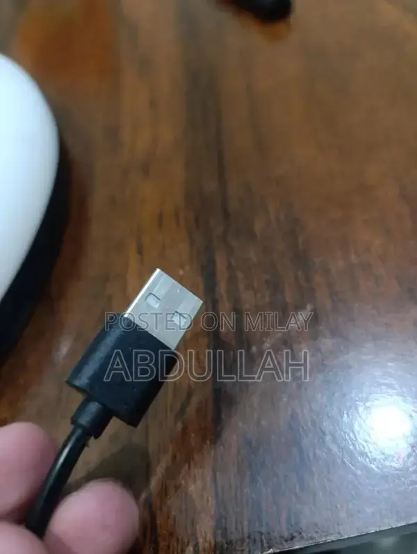 Professional LED Ring Light with Adjustable Stand and Mobile Holder