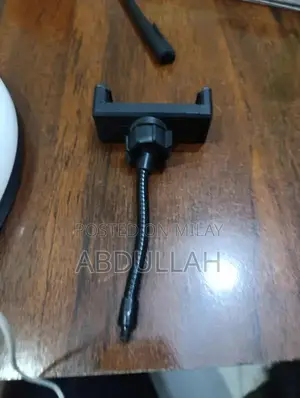 Professional LED Ring Light with Adjustable Stand and Mobile Holder