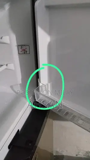 E-Chrome Hairline Golden Double Door Refrigerator