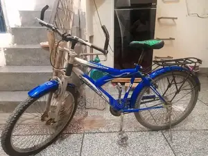 Photo - Used Bicycle with New Seat and Tires