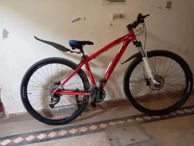 Formate 1512 Mountain Bike with Disc Brakes and New Components
