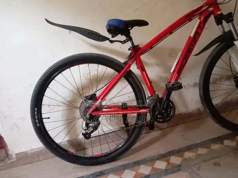 Formate 1512 Mountain Bike with Disc Brakes and New Components