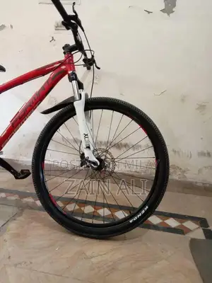 Formate 1512 Mountain Bike with Disc Brakes and New Components