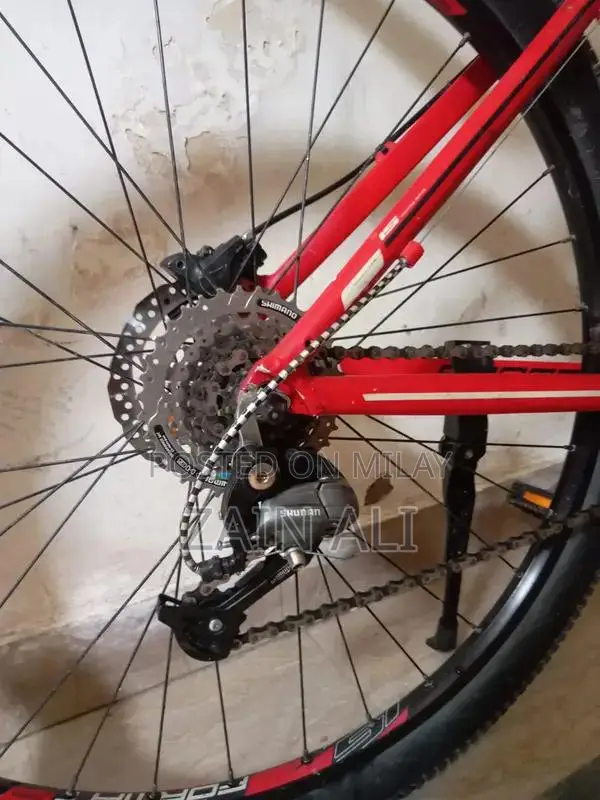 Formate 1512 Mountain Bike with Disc Brakes and New Components