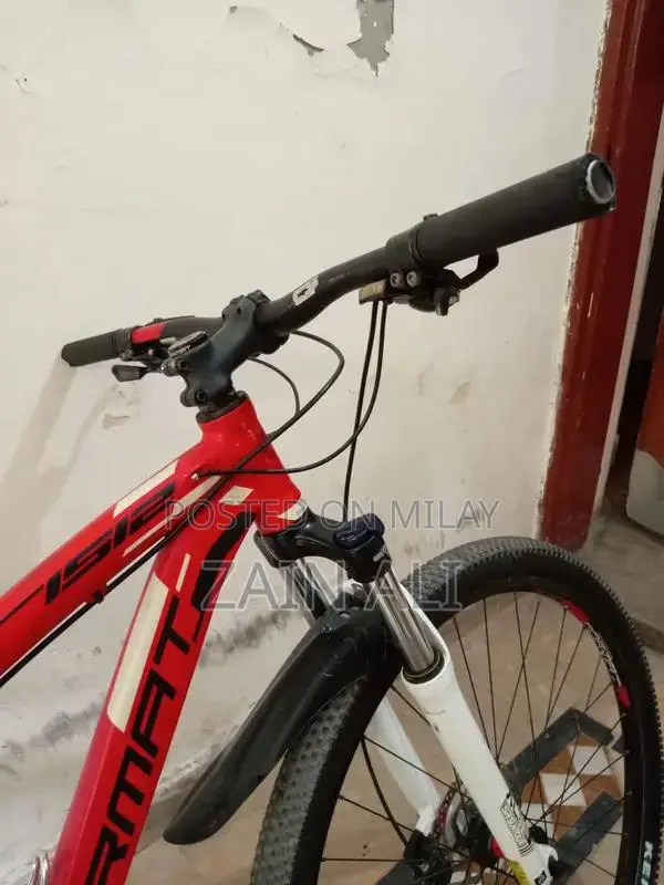 Formate 1512 Mountain Bike with Disc Brakes and New Components