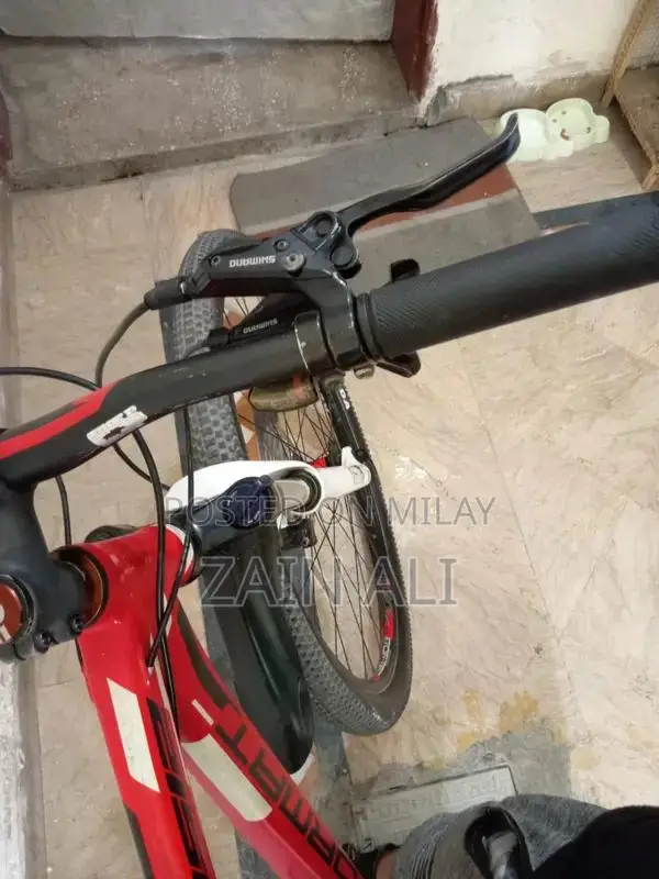 Formate 1512 Mountain Bike with Disc Brakes and New Components