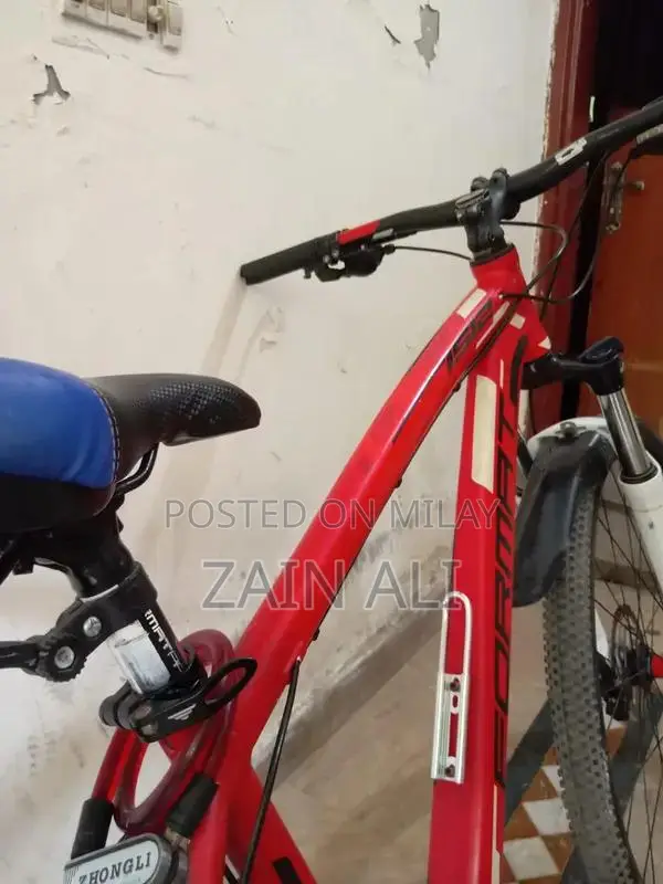 Formate 1512 Mountain Bike with Disc Brakes and New Components