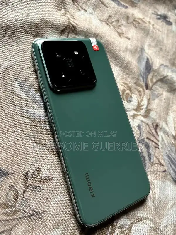 High-Performance Smartphone with Ample Storage