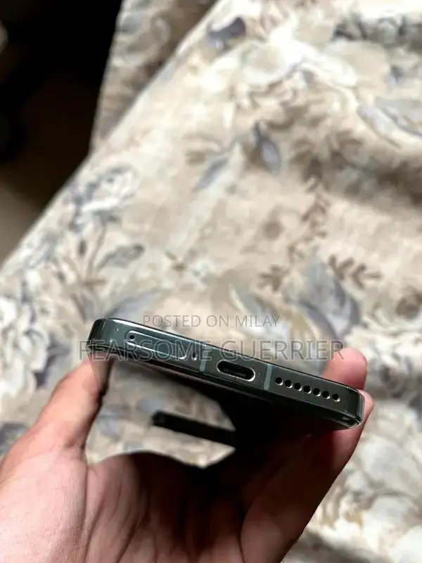 High-Performance Smartphone with Ample Storage