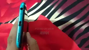 Budget Smartphone with Dual Camera and Compact Design