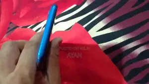 Budget Smartphone with Dual Camera and Compact Design