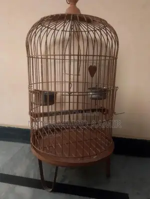 Photo - Heavy-Duty Iron Cage for Ringneck and Raw Parrots
