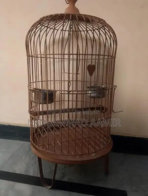 Heavy-Duty Iron Cage for Ringneck and Raw Parrots