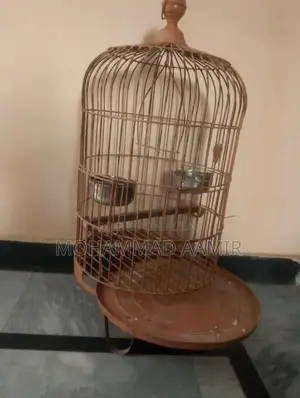 Heavy-Duty Iron Cage for Ringneck and Raw Parrots
