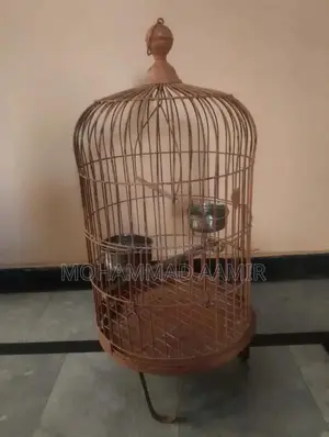 Heavy-Duty Iron Cage for Ringneck and Raw Parrots