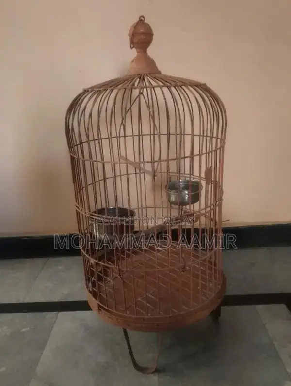 Heavy-Duty Iron Cage for Ringneck and Raw Parrots