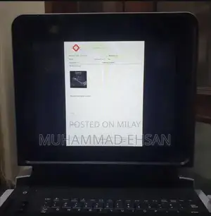 Portable Digital Grey Scale Ultrasound Diagnostic System