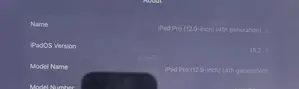Apple iPad Pro 4th Gen 12.9-inch Tablet