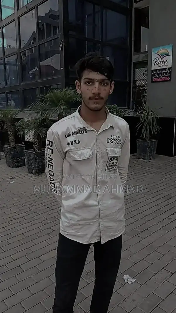 Professional Logo Design Services for Business Branding