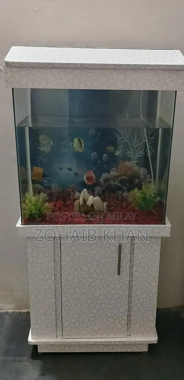 2ft Freshwater Fish Aquarium with Accessories