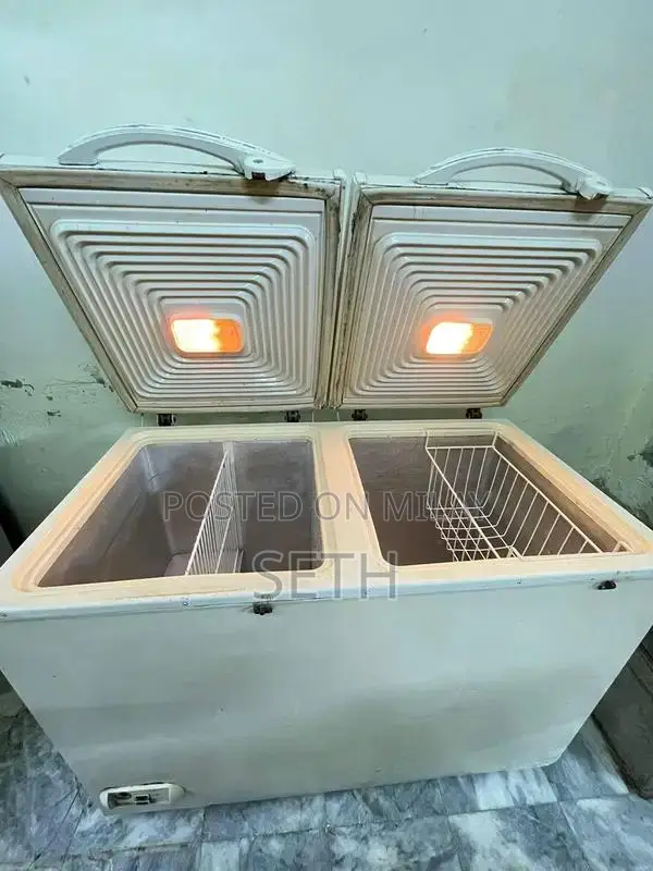 Waves Deep Freezer Double Door Refrigeration Appliance