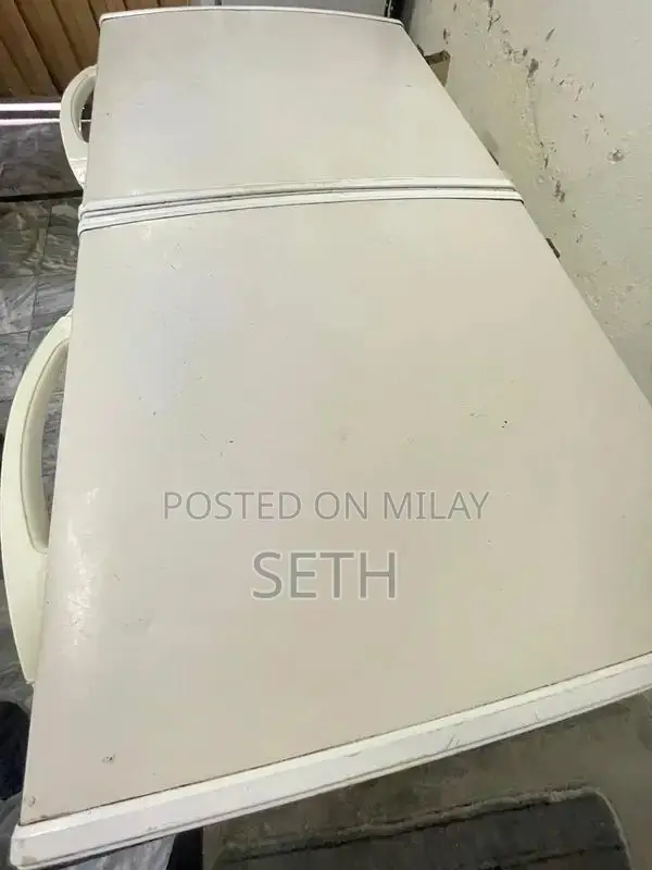 Waves Deep Freezer Double Door Refrigeration Appliance