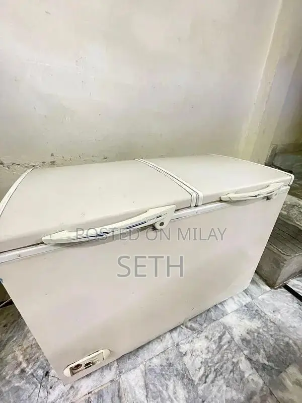 Waves Deep Freezer Double Door Refrigeration Appliance