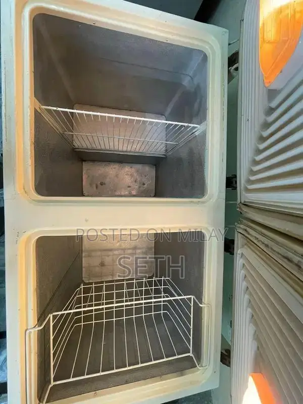 Waves Deep Freezer Double Door Refrigeration Appliance