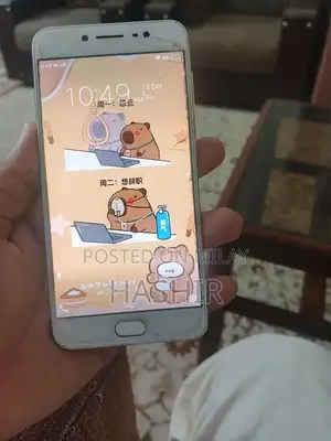 Vivo Smartphone with Dual SIM and Modest Damage