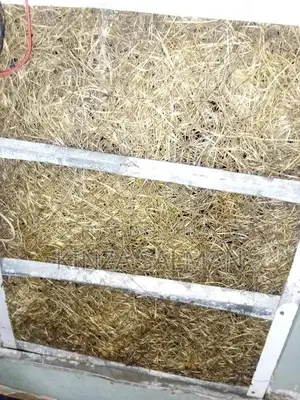 Portable 12V Lahori Cooler with Cooling Stand