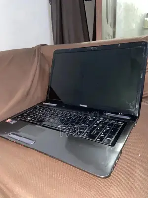 Toshiba Laptop with Windows 10 - 8GB RAM, 320GB HDD