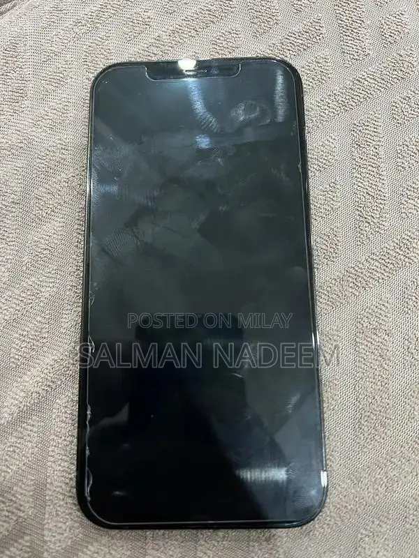 Apple iPhone 12 Pro Max Dual SIM Smartphone