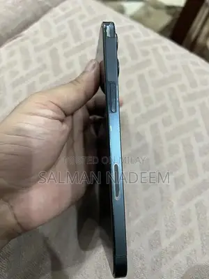 Apple iPhone 12 Pro Max Dual SIM Smartphone