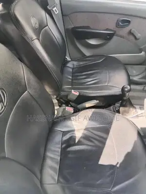 Hyundai Santro Compact Sedan - Low Mileage Car