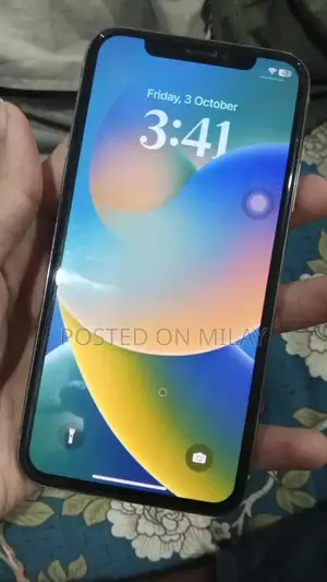 256GB iPhone X Smartphone with Face ID