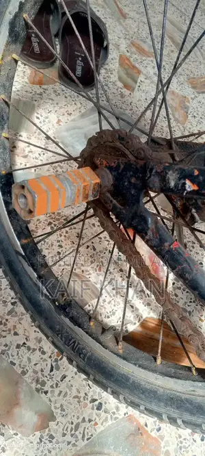 New Bicycle with Upgraded Tyre, Tube, and Handle