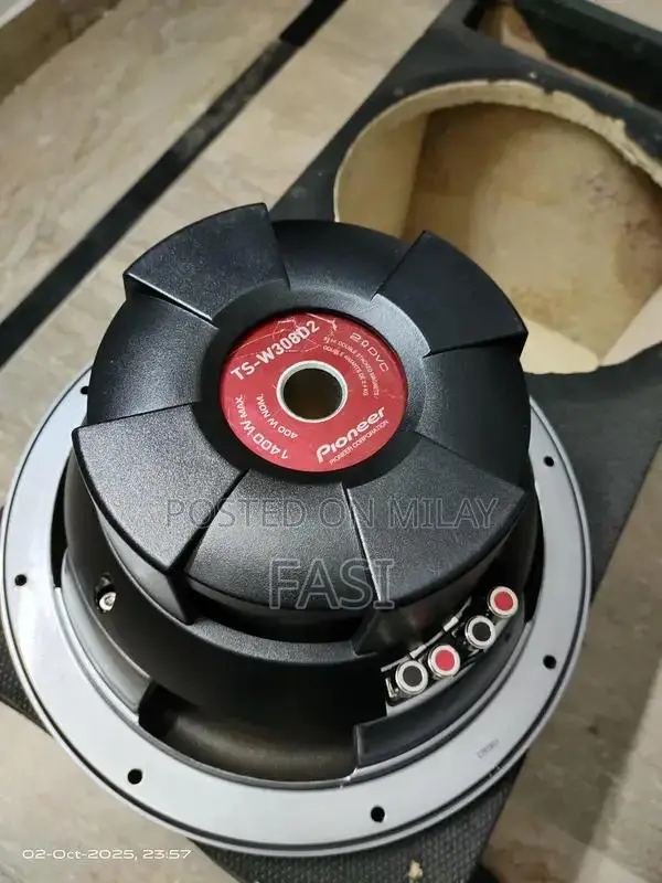 Pioneer TS-W308D2 12-Inch Dual 2-Ohm Car Subwoofer with Bass Tube